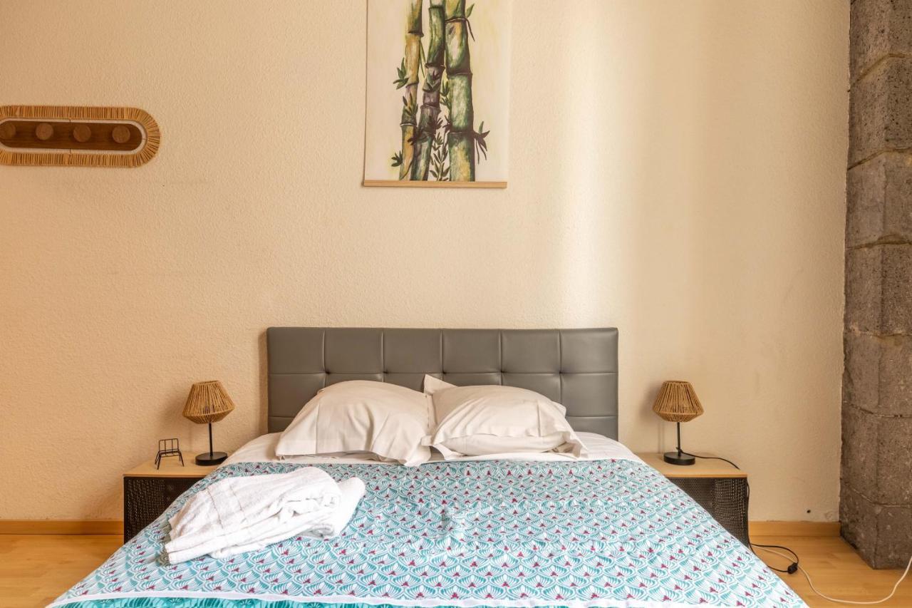 Evasion Centre-Ville 2 A 8 Personnes Clermont-Ferrand Eksteriør billede